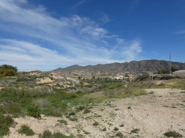 Terreno en Al-8105 s/n