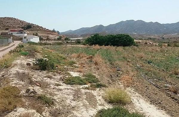 Terreno en Al-8105 s/n