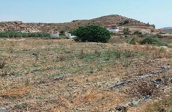 Terreno en Al-8105 s/n