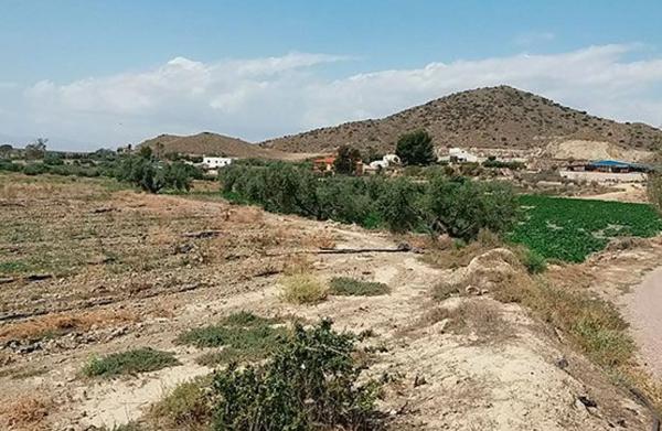 Terreno en Al-8105 s/n