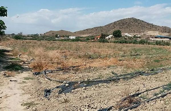 Terreno en Al-8105 s/n