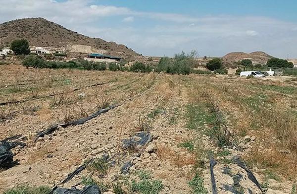 Terreno en Al-8105 s/n