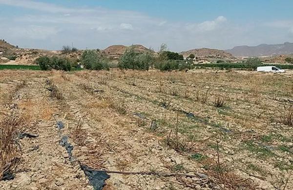 Terreno en Al-8105 s/n