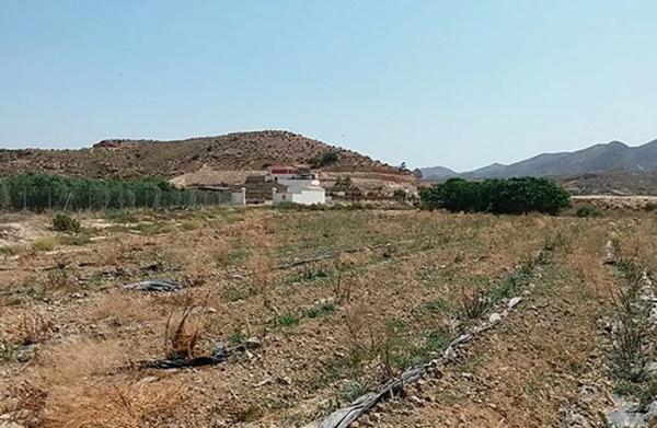 Terreno en Al-8105 s/n