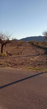 Terreno en Las Labores 52, 9034 Al