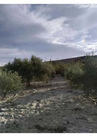 Terreno en Huércal-Overa