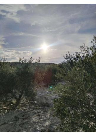 Terreno en Huércal-Overa