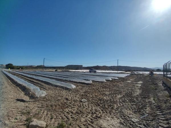 Terreno en camino de Arnilla, 1