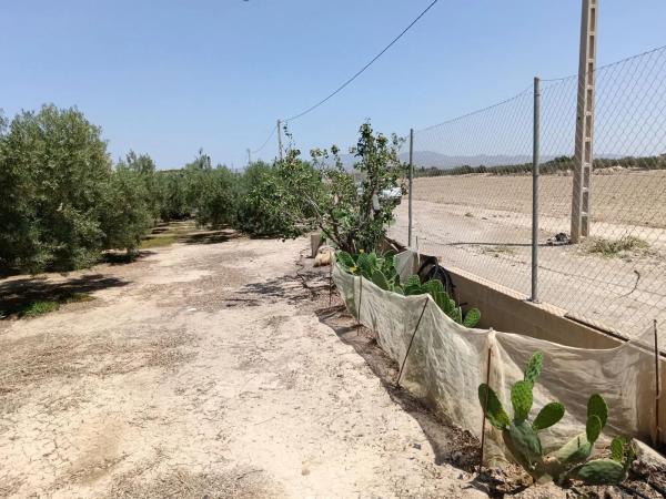 Terreno en Huércal-Overa