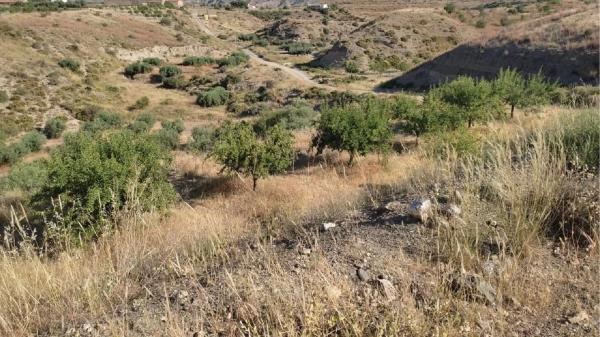 Terreno en Huércal-Overa