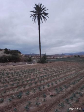 Terreno en A-332, km 5