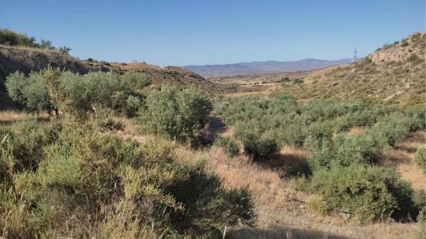 Terreno en Huércal-Overa