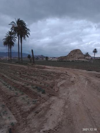 Terreno en A-332, km 5