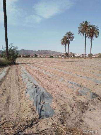 Terreno en A-332, km 5