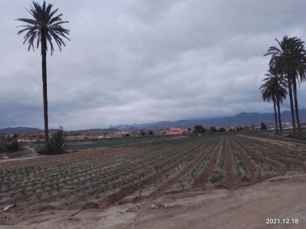 Terreno en A-332, km 5