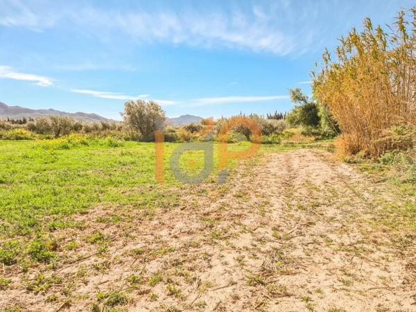 Terreno en calle la Hoya