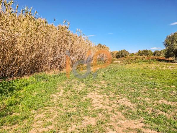 Terreno en calle la Hoya