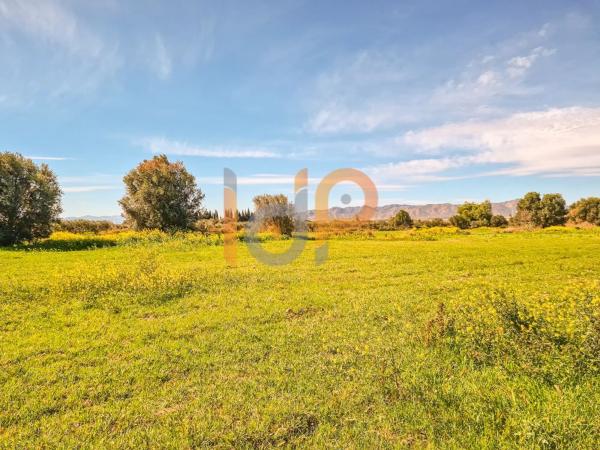 Terreno en calle la Hoya