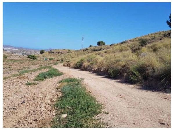 Terreno en carretera A-1201 s/n