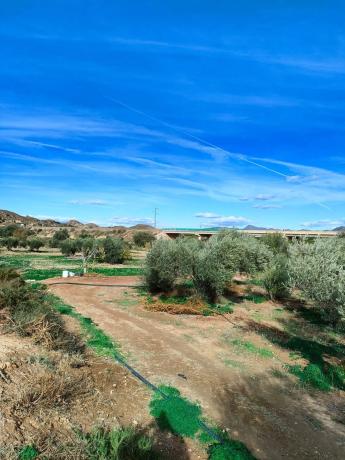 Terreno en terreno rustico, km 1