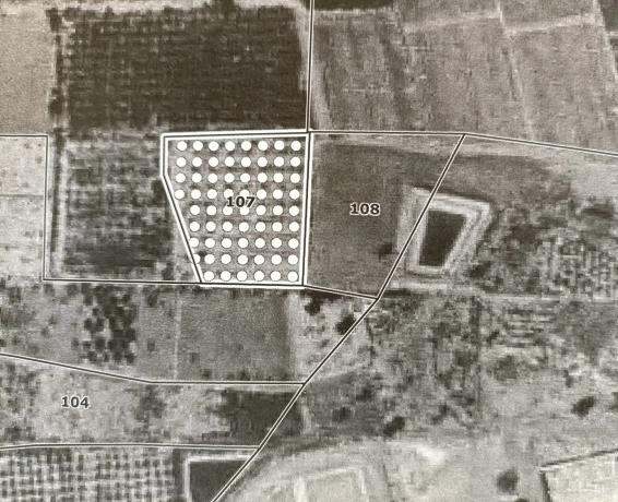 Terreno en calle la Cañada, 6