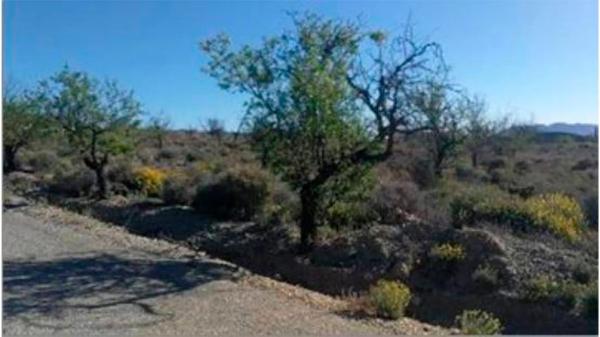 Terreno en Al-9106, 28