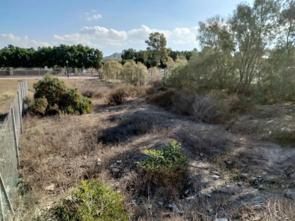 Terreno en Cuevas del Almanzora