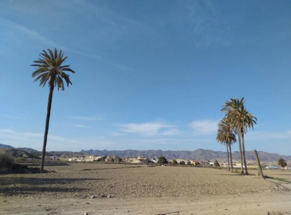 Terreno en Zutijar (Cuevas del Almanzora). 04610, 13 PoligParc