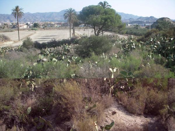 Terreno en Zutijar (Cuevas del Almanzora). 04610, 13 PoligParc