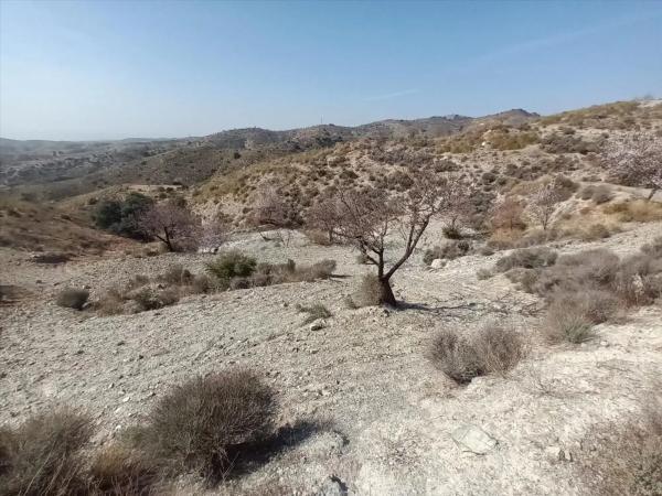 Terreno en Huércal-Overa