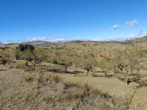 Terreno en Huércal-Overa