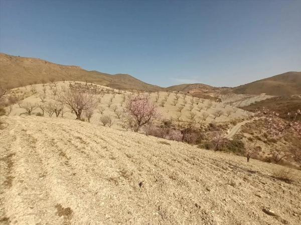 Terreno en Huércal-Overa