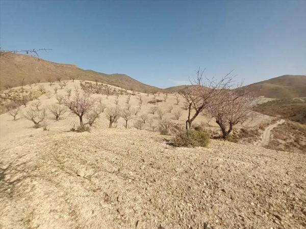 Terreno en Huércal-Overa