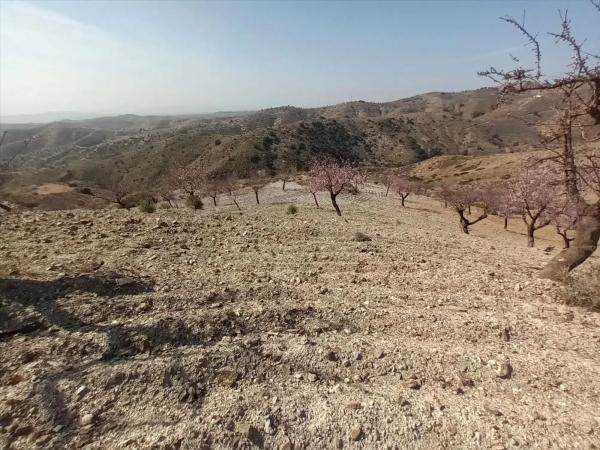 Terreno en Huércal-Overa