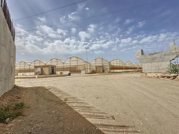 Terreno en Diseminado Cjo Lentiscar, 3