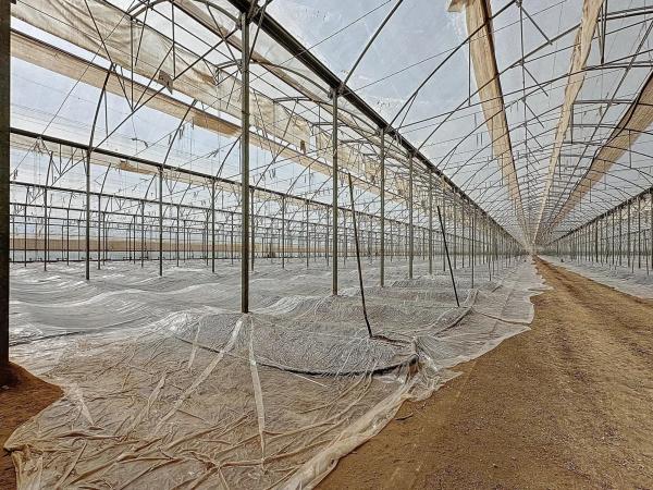 Terreno en Diseminado Cjo Lentiscar, 3