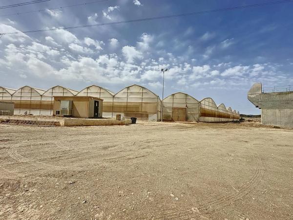 Terreno en Diseminado Cjo Lentiscar, 3