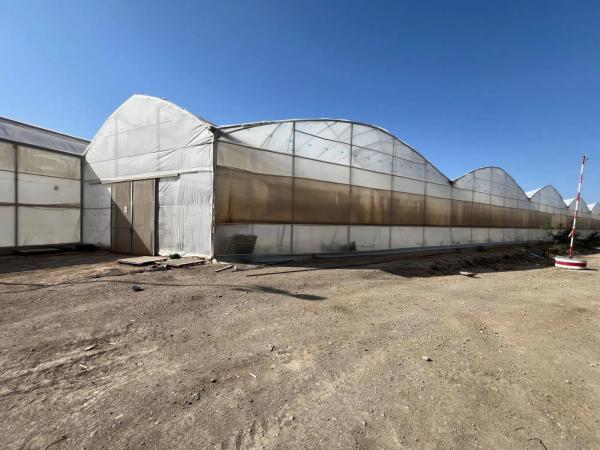 Terreno en Diseminado Cjo Lentiscar, 3