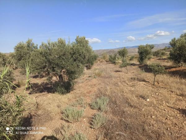 Terreno en Paraje Oscayar s/n