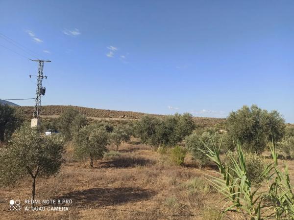 Terreno en Paraje Oscayar s/n
