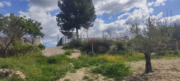 Terreno en La mela s/n