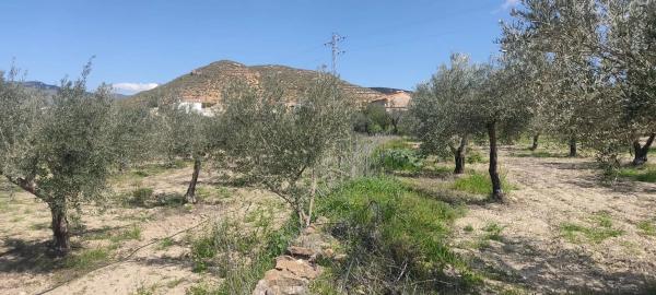 Terreno en La mela s/n