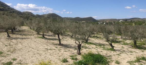 Terreno en La mela s/n