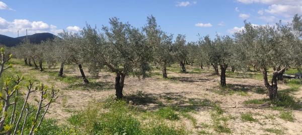 Terreno en La mela s/n