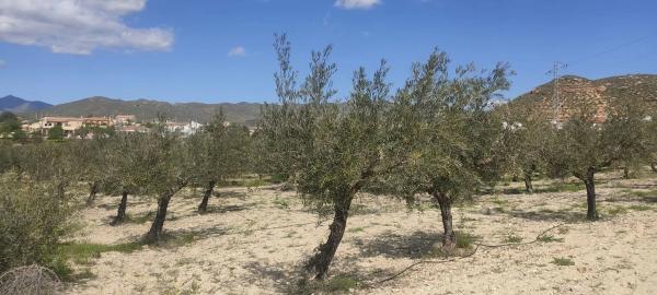 Terreno en La mela s/n