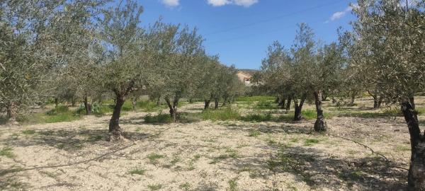 Terreno en La mela s/n