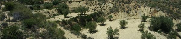 Terreno en Al-3105, 3105 ALsN