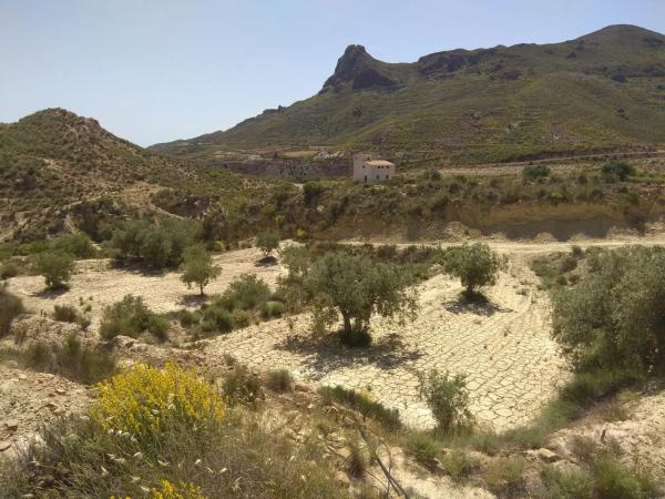 Terreno en Al-3105, 3105 ALsN