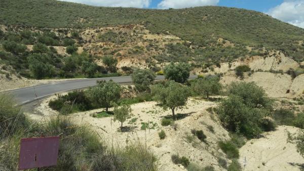 Terreno en Al-3105, 3105 ALsN