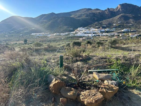 Terreno en calle Real, 1